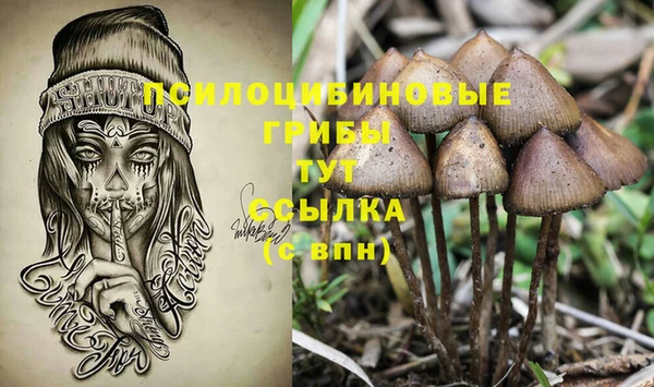 спайс Арсеньев